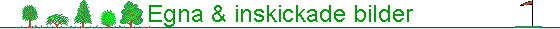 Egna & inskickade bilder