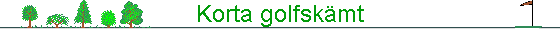 Korta golfskmt